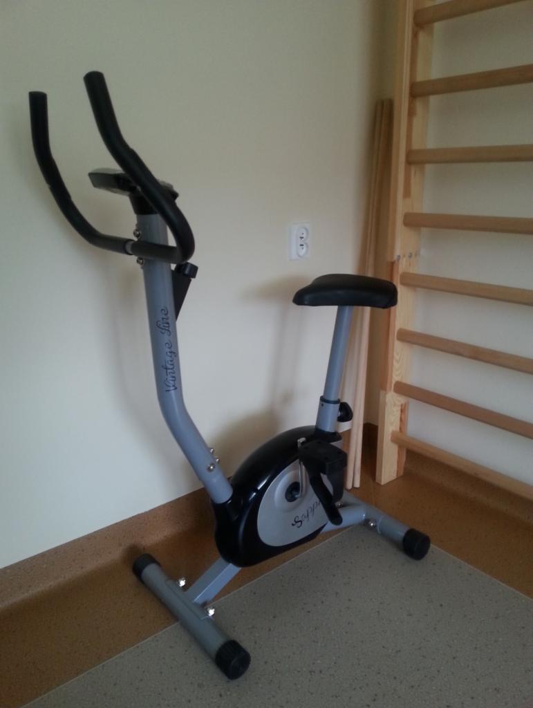 Szary rower stacjonarny Vintage Line z czarnymi elementami i drabinką gimnastyczną w tle. Sprzęt do ćwiczeń w jasnym pomieszczeniu.