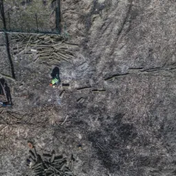 Widok z góry na dwóch pracowników w kaskach i kamizelkach, jeden z piłą łańcuchową, tnących gałęzie na małe kawałki, obok stosy pociętego drewna i resztki po wycince.