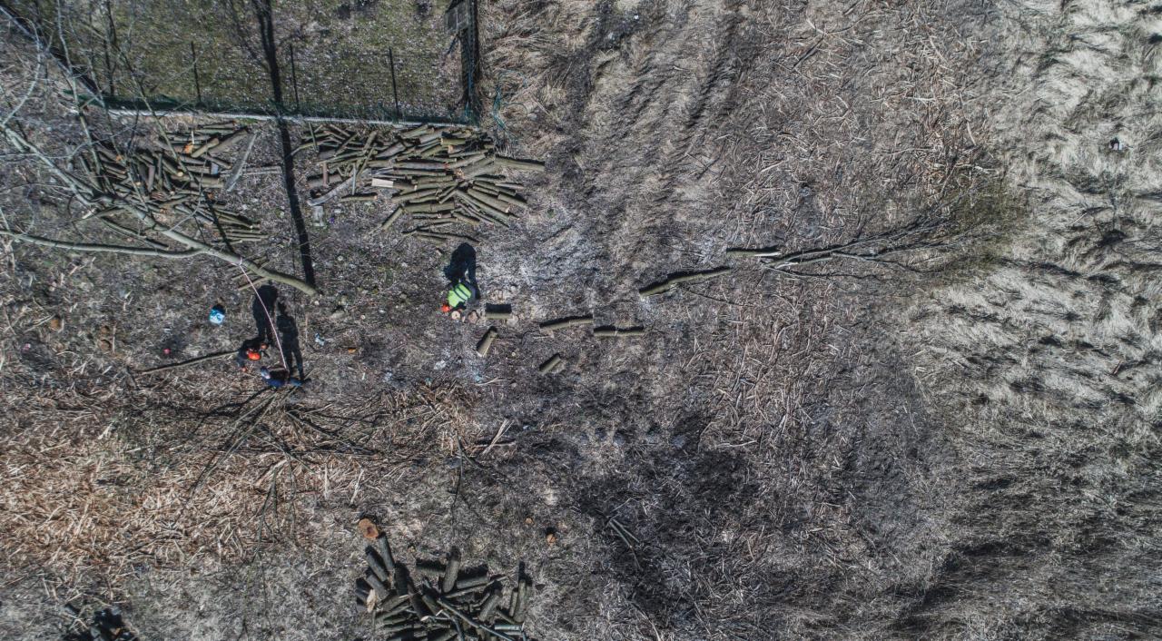 Widok z góry na dwóch pracowników w kaskach i kamizelkach, jeden z piłą łańcuchową, tnących gałęzie na małe kawałki, obok stosy pociętego drewna i resztki po wycince.