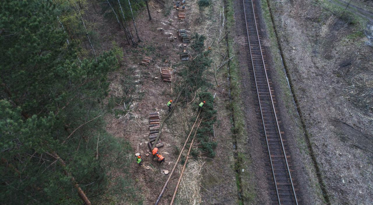 Widok z lotu ptaka na zespół w jaskrawych kamizelkach, pracujący przy cięciu drzew w pobliżu torów kolejowych w Łaziskach Górnych; stosy pociętego drewna leżą wzdłuż ścieżki.