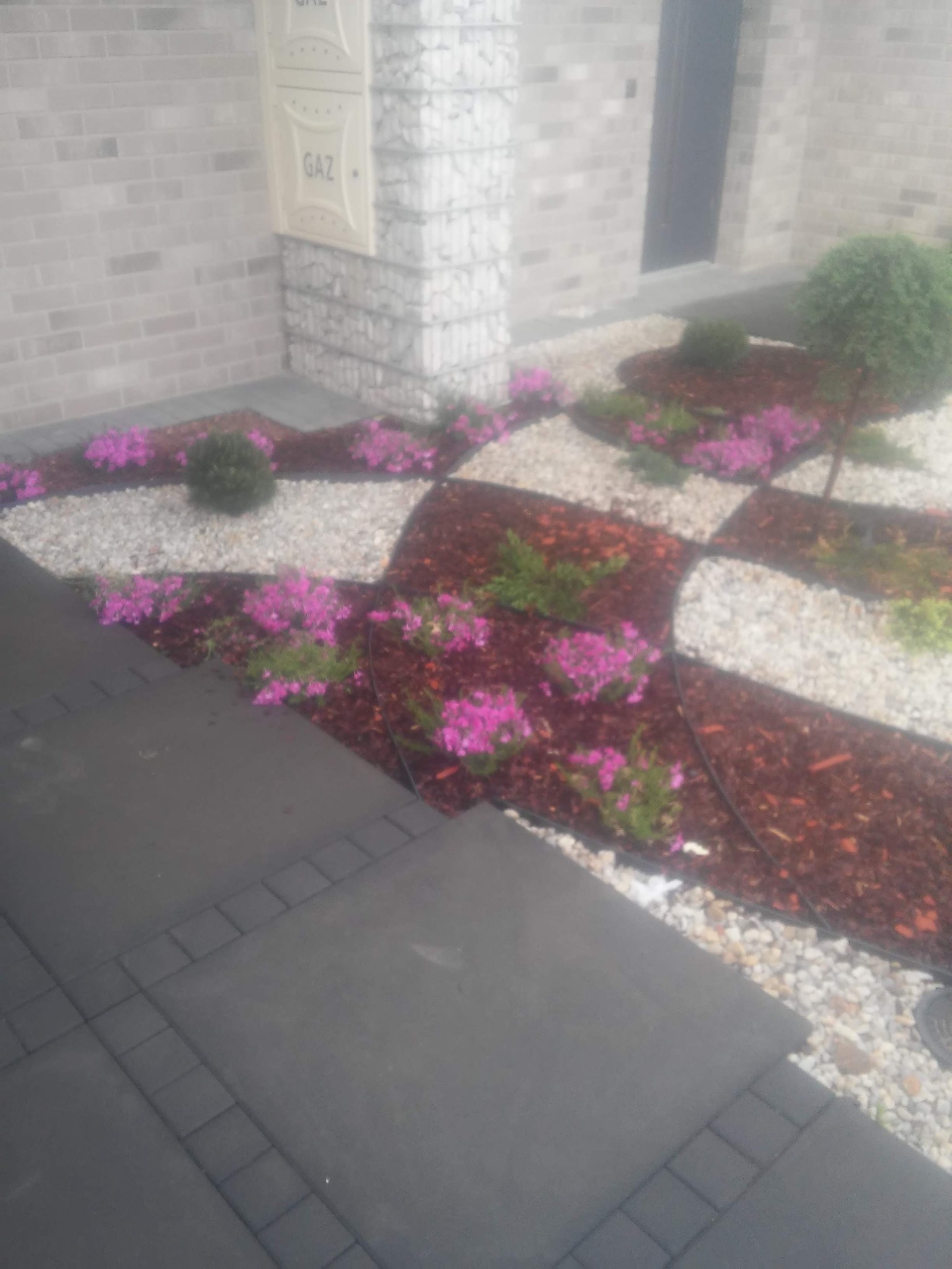 Ogród przed domem z geometrycznym wzorem z białych kamieni, kory i różowych kwiatów, obok ścieżka z kostki brukowej i ściana budynku z licznikiem gazu.