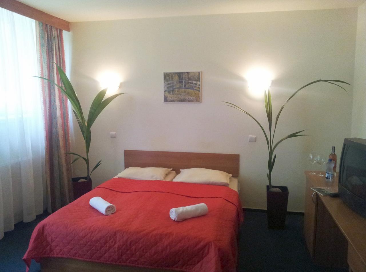 Pokój hotelowy z czerwonym pledem na łóżku, dwoma ręcznikami, dwiema roślinami w doniczkach, telewizorem i obrazem na ścianie. Przytulne wnętrze.