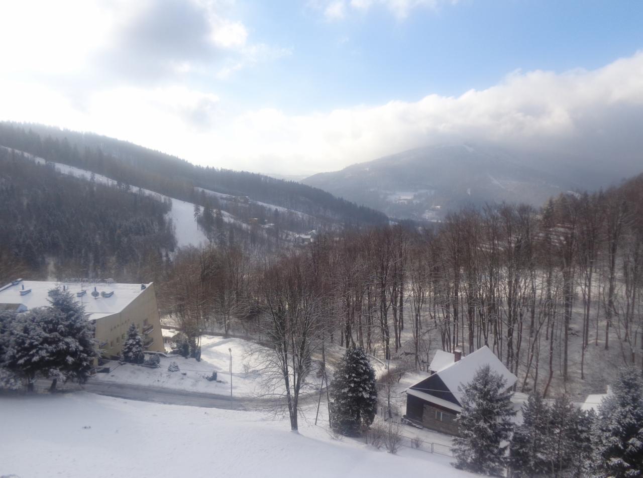 Zimowy krajobraz górski z widokiem na ośnieżony stok narciarski, budynki z dachami pokrytymi śniegiem i las z drzewami bez liści. Pochmurne niebo.