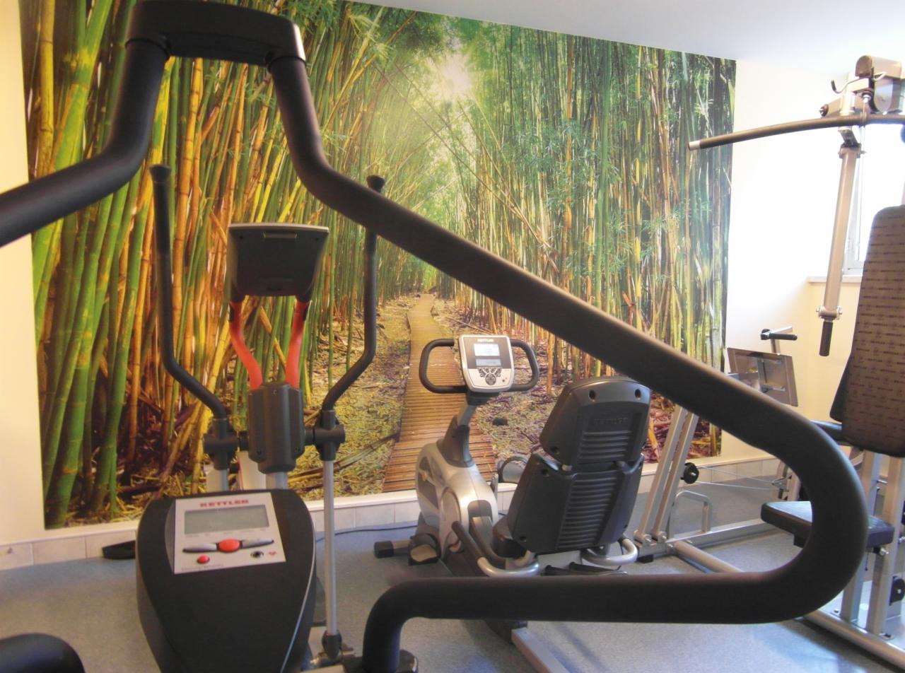 Sprzęt do ćwiczeń Kettler: orbitrek, rower stacjonarny, atlas. W tle fototapeta z motywem bambusowego lasu. Siłownia w neutralnej tonacji kolorystycznej.