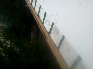 Fragment elewacji z zamontowaną, białą rynną z zielonymi akcentami, widoczną z perspektywy żabiej z zaroślami w tle. Niewyraźne zdjęcie.