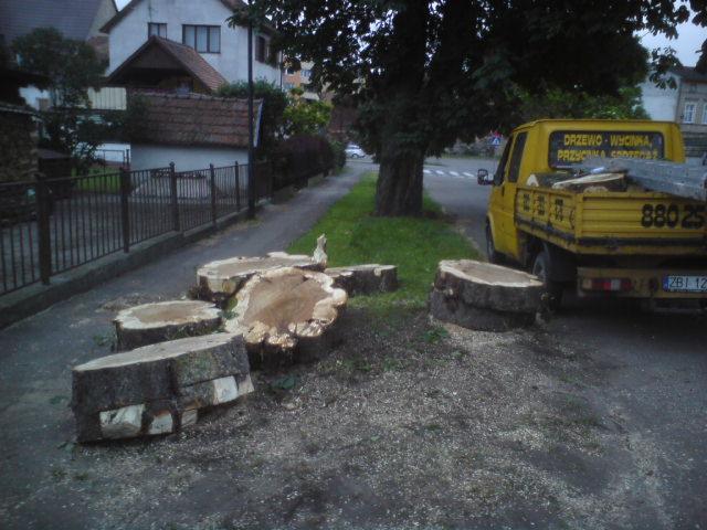 Świeżo ścięte pnie drzew leżą na chodniku obok żółtej ciężarówki z napisem 'Drzewo - wycinka, przycinka, sprzedaż'. Drobne trociny rozsypane wokół pni.