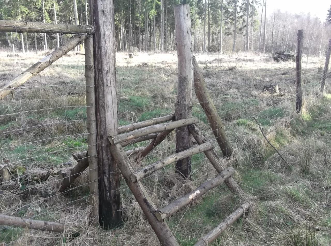 Drewniana furtka w ogrodzeniu z siatki leśnej, wykonana z okrąglaków, w tle drzewa i trawa. Konstrukcja prowizoryczna, ale funkcjonalna, w naturalnym otoczeniu.