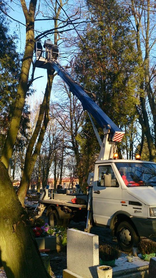 Pracownicy na podnośniku koszowym przycinają gałęzie drzew na cmentarzu. Widoczny samochód z podnośnikiem i nagrobki w tle.