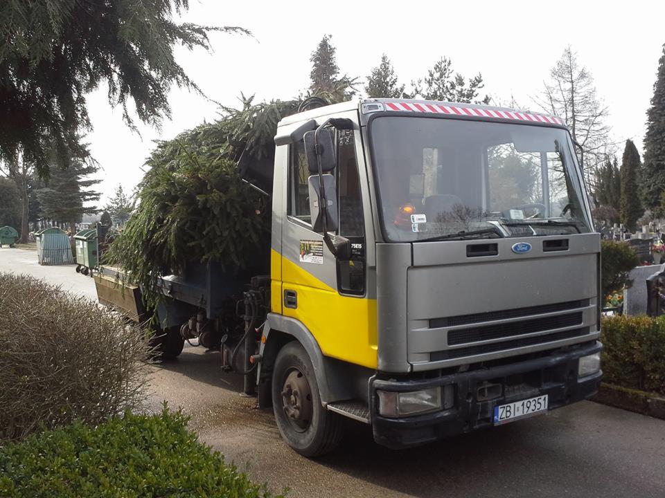 Ciężarówka Ford z żółtym bokiem, załadowana ściętymi gałęziami drzew, stoi na cmentarzu. W tle nagrobki i drzewa.