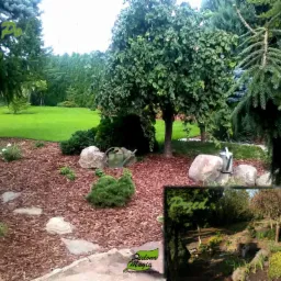 Ogród z drzewami iglastymi i liściastymi, ścieżką z kamieni i korą, oraz konewkami dekoracyjnymi, na trawniku w tle