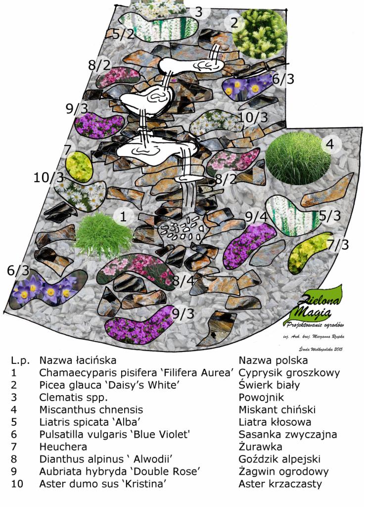 Plan ogrodu z kamienną ścieżką, roślinami (cyprysik, świerk, powojnik, miskant, liatra, sasanka, żurawka, goździk, żagwin, aster) i elementami wodnymi. Projekt 'Zielona Magia'.
