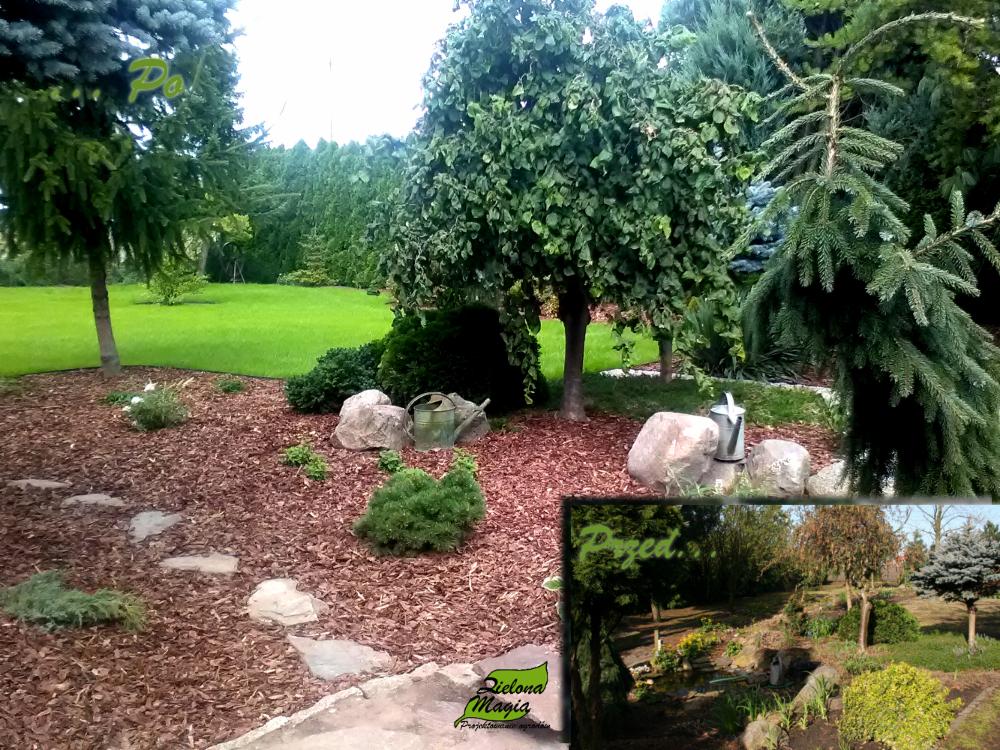 Ogród z drzewami iglastymi i liściastymi, ścieżką z kamieni i korą, oraz konewkami dekoracyjnymi, na trawniku w tle