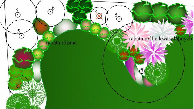 Schemat ogrodu z rabatami: różaną i roślin kwasolubnych, z zaznaczonymi punktami nawadniania i oświetlenia. Plan nasadzeń z numeracją roślin i zasięgiem zraszaczy.