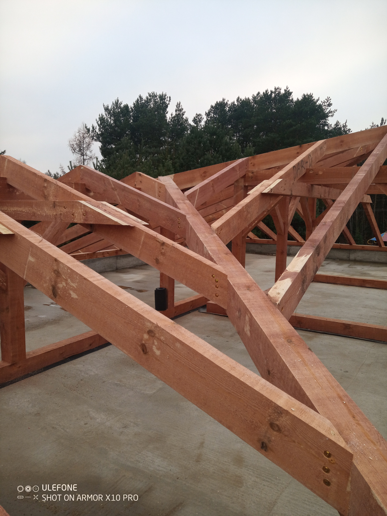 Surowa, drewniana konstrukcja więźby dachowej z widocznymi elementami złącznymi, na tle zieleni drzew i pochmurnego nieba. Ujęcie z dołu, podkreślające solidność konstrukcji.