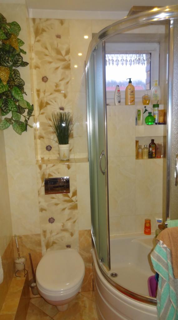 Wykończona łazienka z kabiną prysznicową, toaletą i roślinami. Beżowe płytki z motywem kwiatowym. Widoczna armatura i akcesoria łazienkowe.