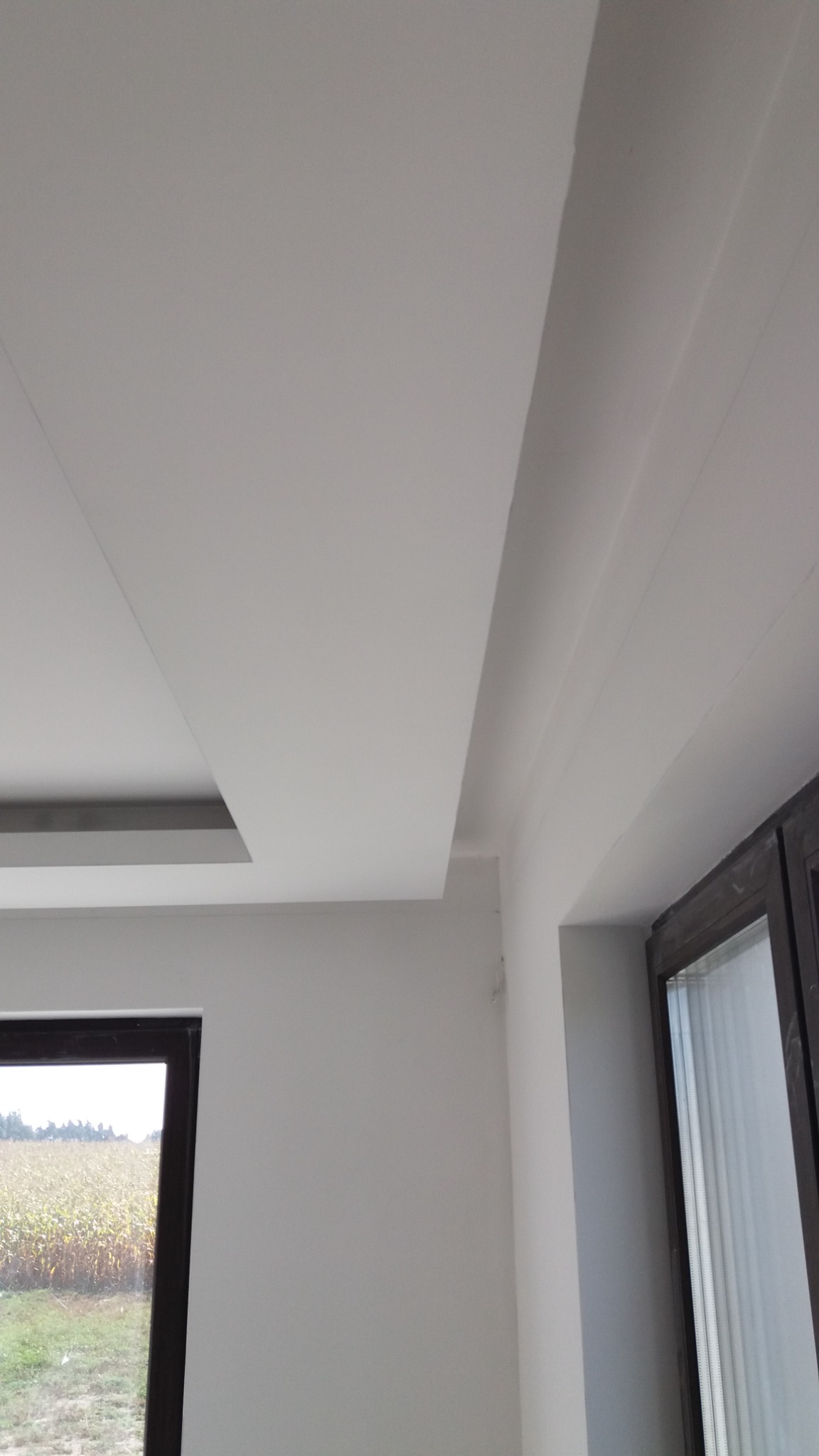 Białe wnętrze z widocznym fragmentem sufitu podwieszanego z wgłębieniem na oświetlenie, gładkie ściany i rama okienna z widokiem na pole kukurydzy.