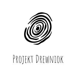 Projekt Drewniok - Domy z Drewna Białaczów