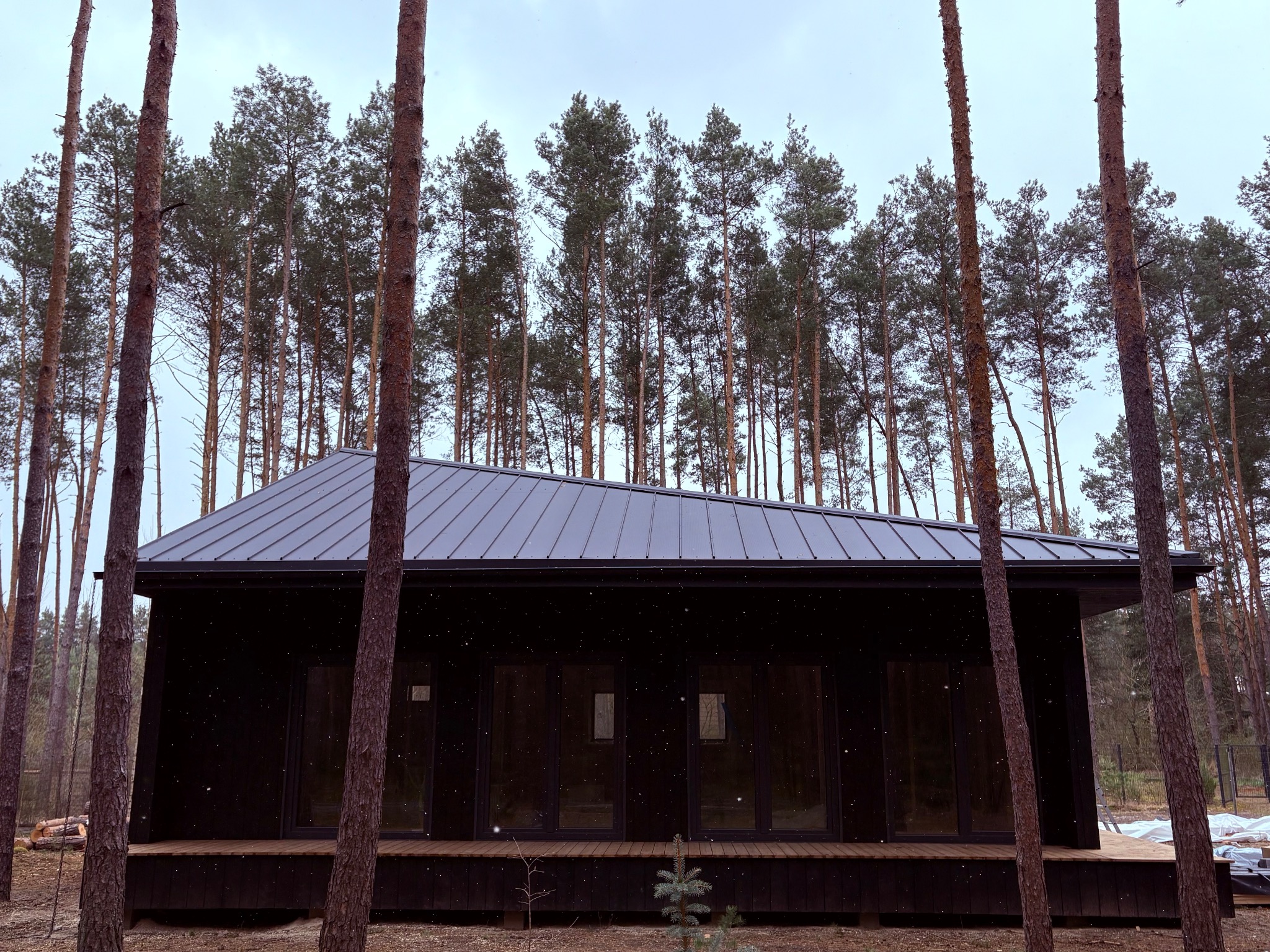 Czarny dom szkieletowy z ciemnoszarą blachą na dachu, otoczony sosnowym lasem. Widok na frontową elewację z dużymi oknami i drewnianym tarasem.