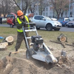ANKER-GROUP Piotr KOTWICA - Operator w kasku i kamizelce odblaskowej obsługuje frezarkę do pni drzew na trawniku w otoczeniu pociętych pni, z zaparkowanymi samochodami i blokami mieszkalnymi w tle.
