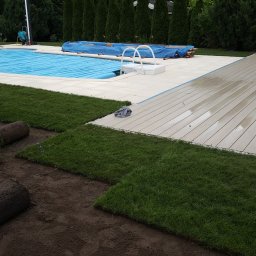 ANKER-GROUP Piotr KOTWICA - Układanie trawy z rolki obok basenu i drewnianego tarasu, widoczne fragmenty odkrytej ziemi i zwinięte rolki trawy, tło z tujami.