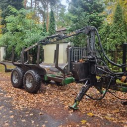 Wycinka drzew Konstancin-Jeziorna 1