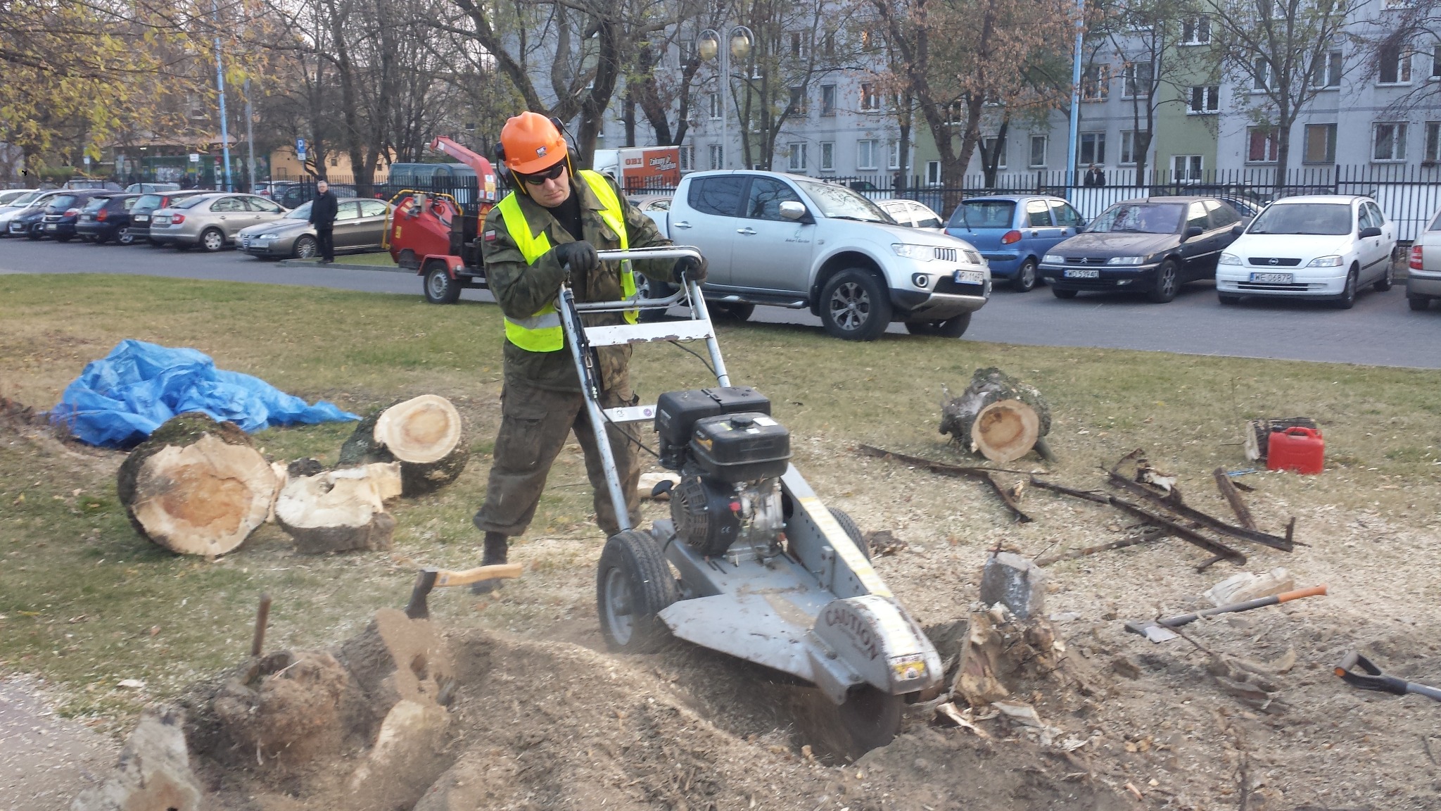 Operator w kasku i kamizelce odblaskowej obsługuje frezarkę do pni drzew na trawniku w otoczeniu pociętych pni, z zaparkowanymi samochodami i blokami mieszkalnymi w tle.