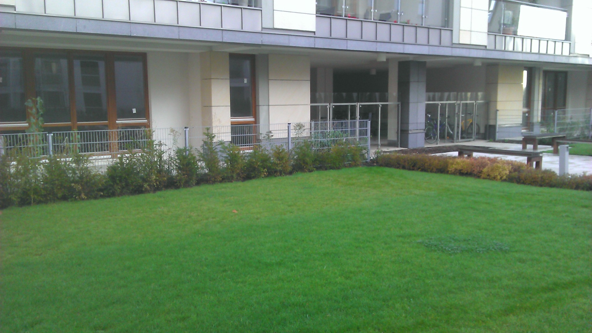 Zadbany trawnik przed nowoczesnym budynkiem mieszkalnym, obrzeża obsadzone niskimi krzewami, widoczna metalowa siatka ogrodzeniowa i elementy małej architektury.