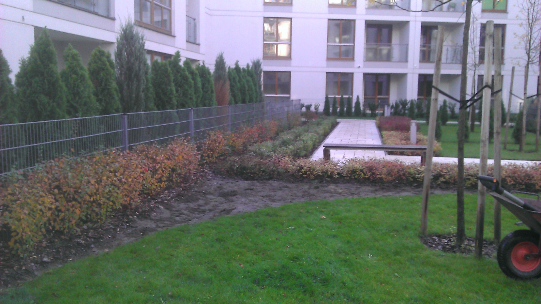 Ujęcie ogrodu po założeniu, widoczne świeżo posadzone drzewa podparte palikami, trawnik, rabaty z krzewami, ścieżka z płyt i budynek w tle.