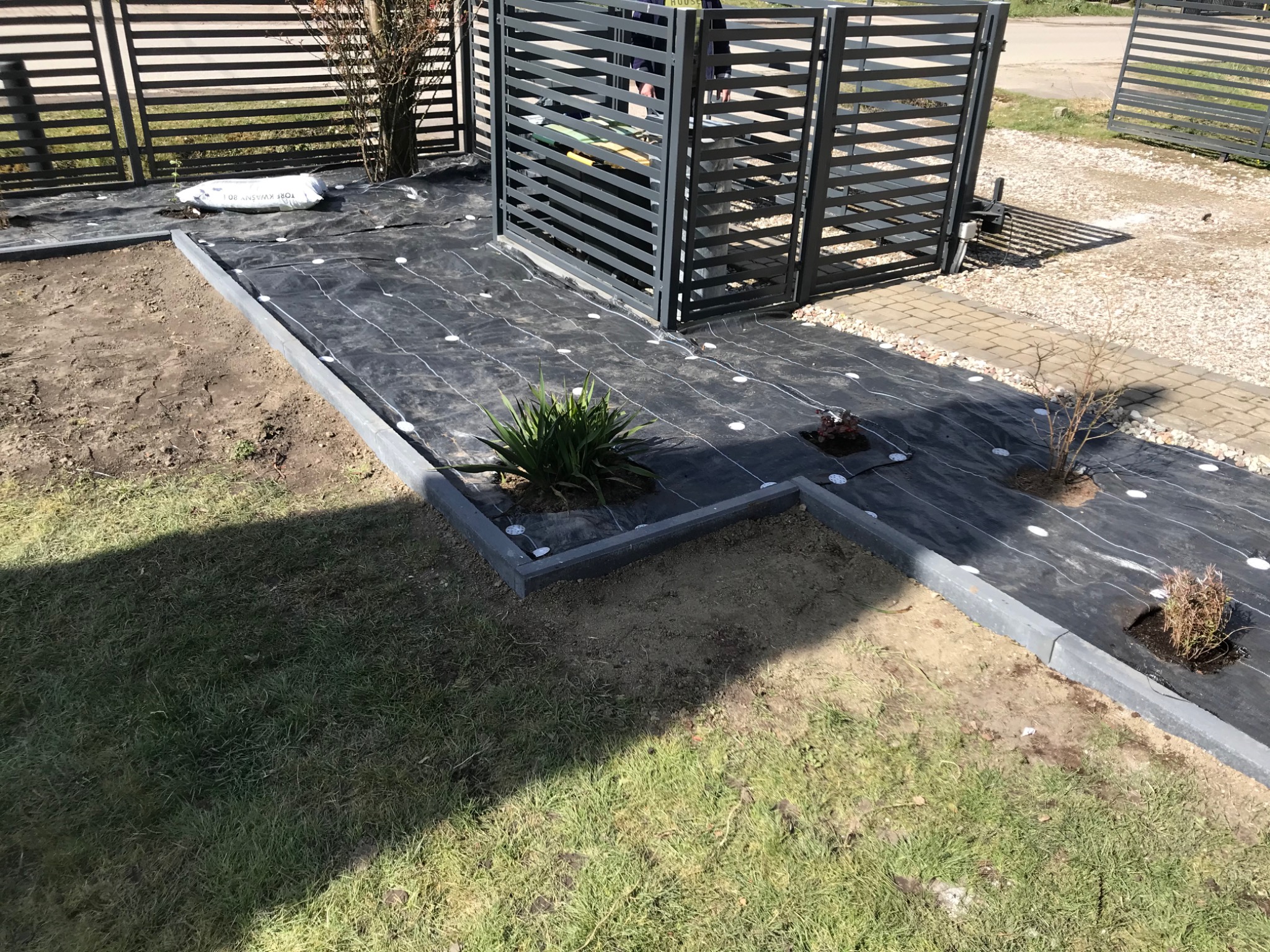 Przygotowanie terenu pod nasadzenia: rozłożona czarna agrowłóknina z widocznymi punktami mocowania, obrzeża z szarej kostki, młode rośliny przygotowane do sadzenia, w tle nowoczesne ogrodzenie.