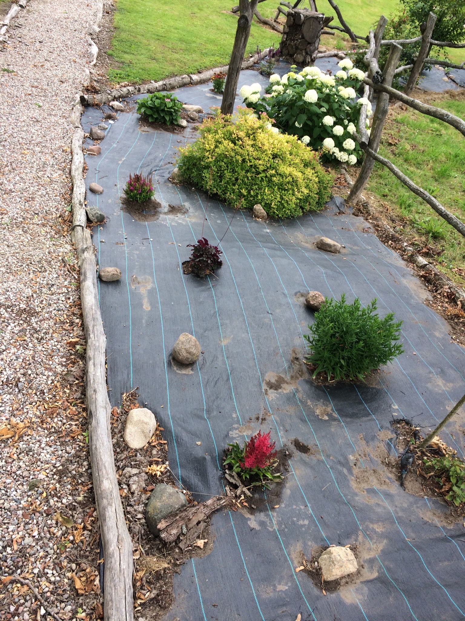 Przygotowany teren pod nasadzenia: rozłożona agrowłóknina z wyciętymi otworami, w których posadzono młode krzewy i byliny, obłożone kamieniami.