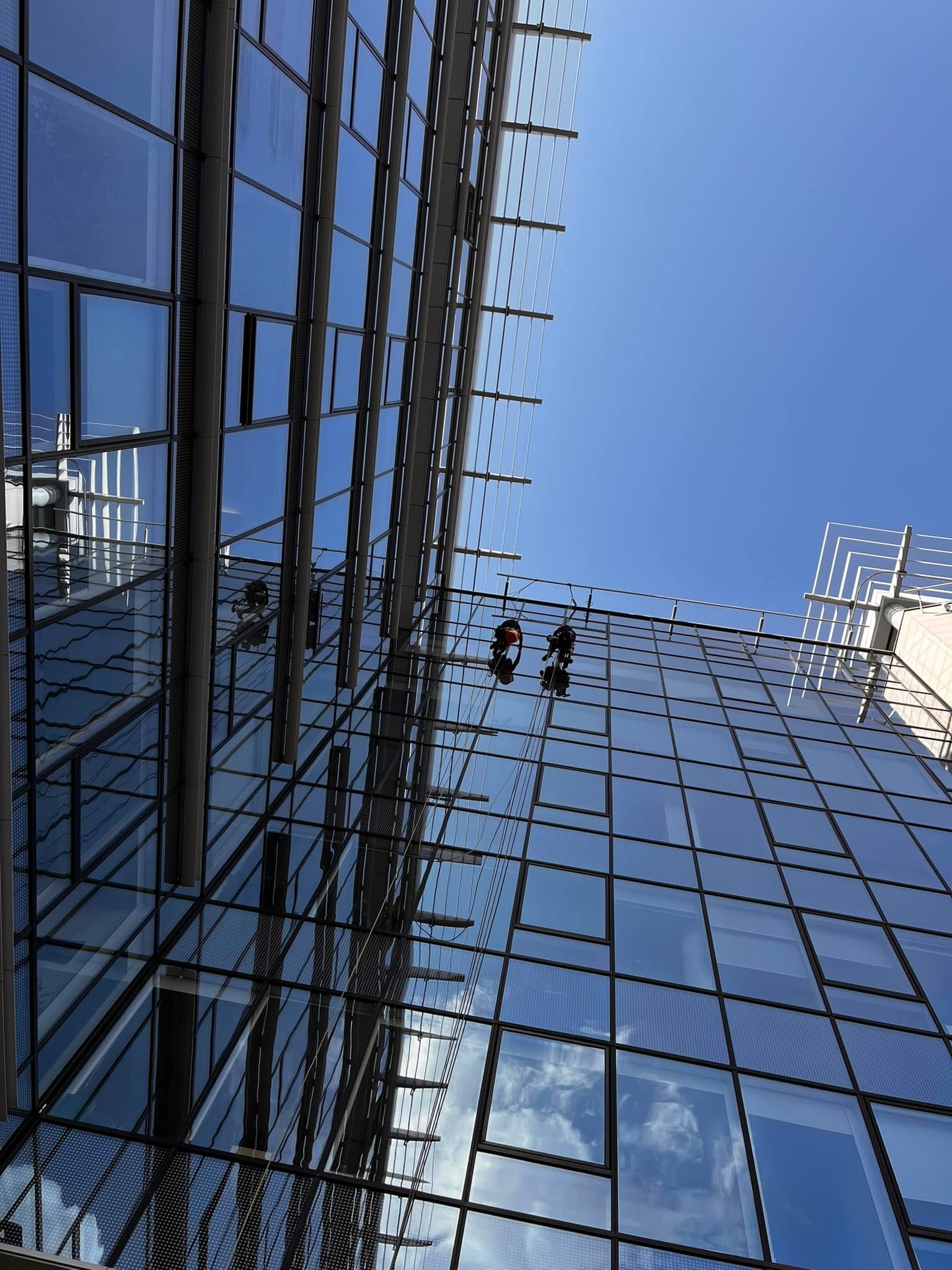Dwóch pracowników na linach zabezpieczających, myjących szklaną fasadę nowoczesnego biurowca w słoneczny dzień, widok z dołu.