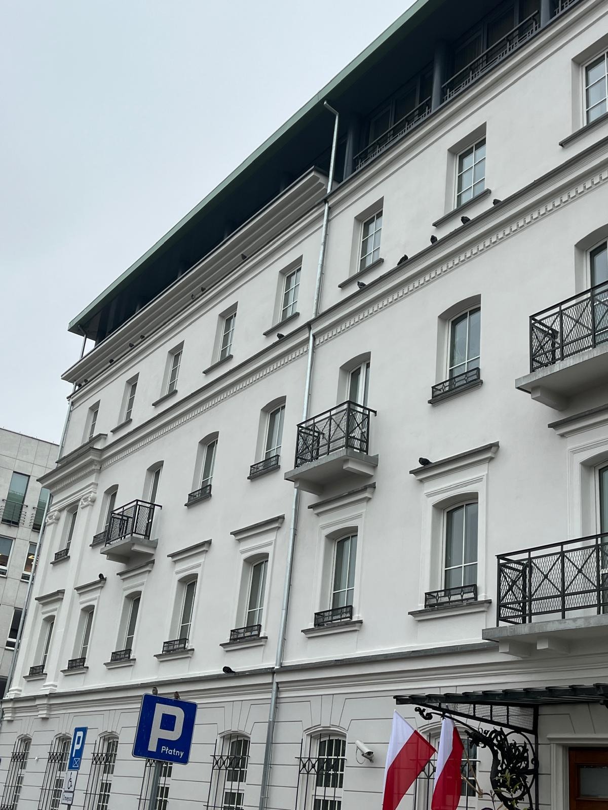 Biała, odnowiona elewacja kamienicy z balkonami i oknami w ozdobnych ramach. Na gzymsie siedzą gołębie. W tle widoczny fragment innego budynku.