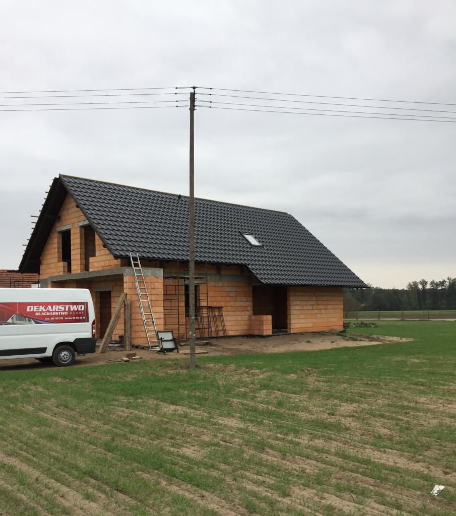 Niedokończony dom z cegły z czarnym dachem z dachówki, drabina oparta o ścianę, na pierwszym planie trawa, w tle las, pochmurne niebo.