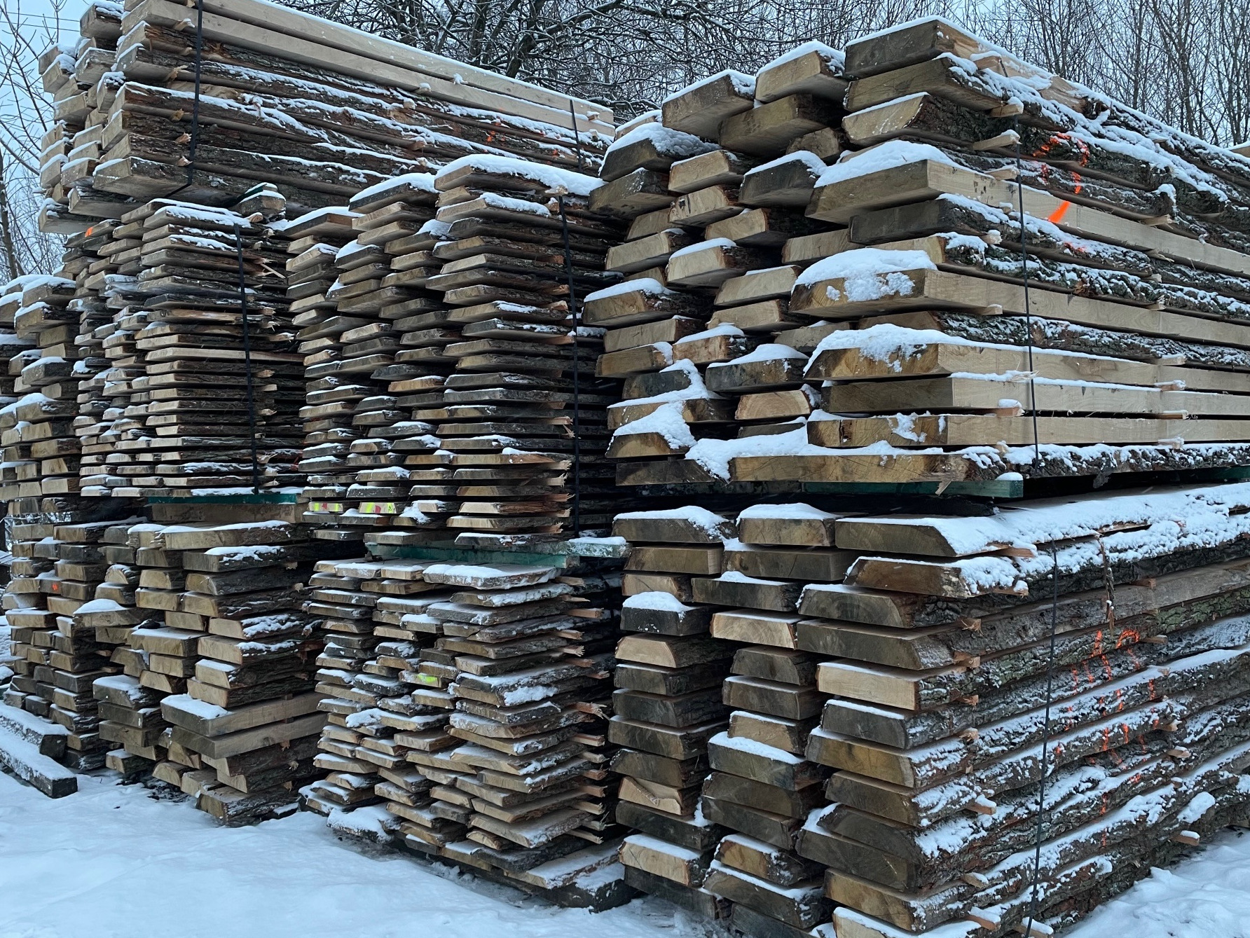 Stosy świeżo przetartego drewna, częściowo pokryte śniegiem, z widoczną korą i pomarańczowymi oznaczeniami, składowane na zewnątrz w zimowy dzień.