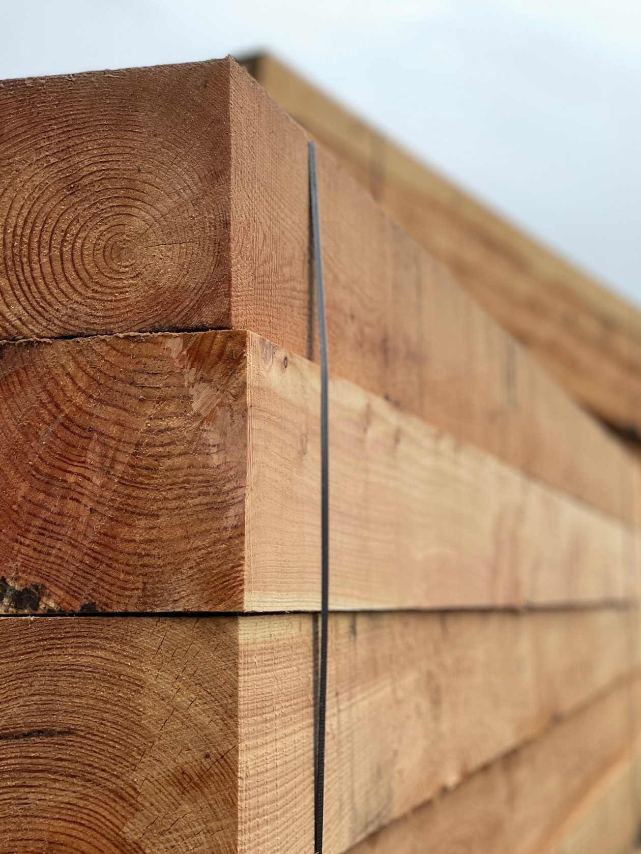 Stos belek z widocznymi słojami drewna, spiętych czarną taśmą, ułożonych równo jeden na drugim.