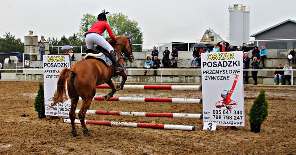 Jeździec na brązowym koniu skacze przez przeszkodę na zawodach. W tle trybuny z widzami i reklama firmy 'Oskar Posadzki Przemysłowe Żywiczne'.