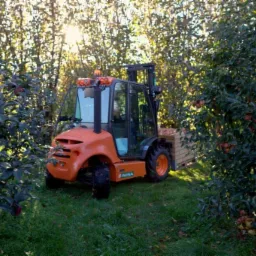Wózek widłowy Terenowy Ausa C 150H 4x4