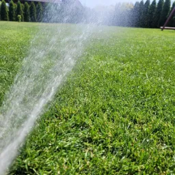 Strumień wody ze studni głębinowej nawadnia soczysty, zielony trawnik w słoneczny dzień; w tle widoczne tuje i elementy placu zabaw.