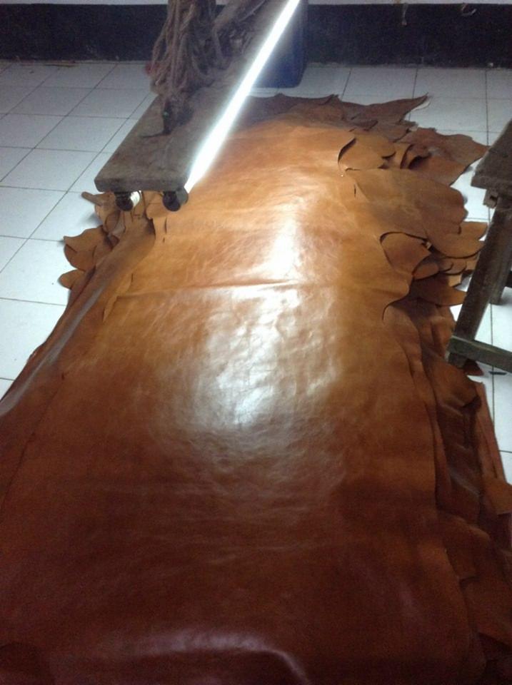 Rozłożony, duży płat brązowej skóry naturalnej na podłodze z jasnych płytek, oświetlony ostrym światłem. Widoczne narzędzia tapicerskie w tle.