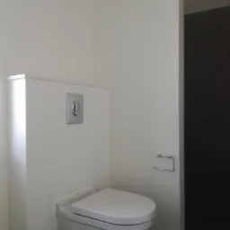 Biała, podwieszana toaleta z chromowanym przyciskiem spłukiwania na tle świeżo pomalowanej, jasnej ściany, obok widać fragment ciemnej ściany i uchwyt na papier toaletowy.