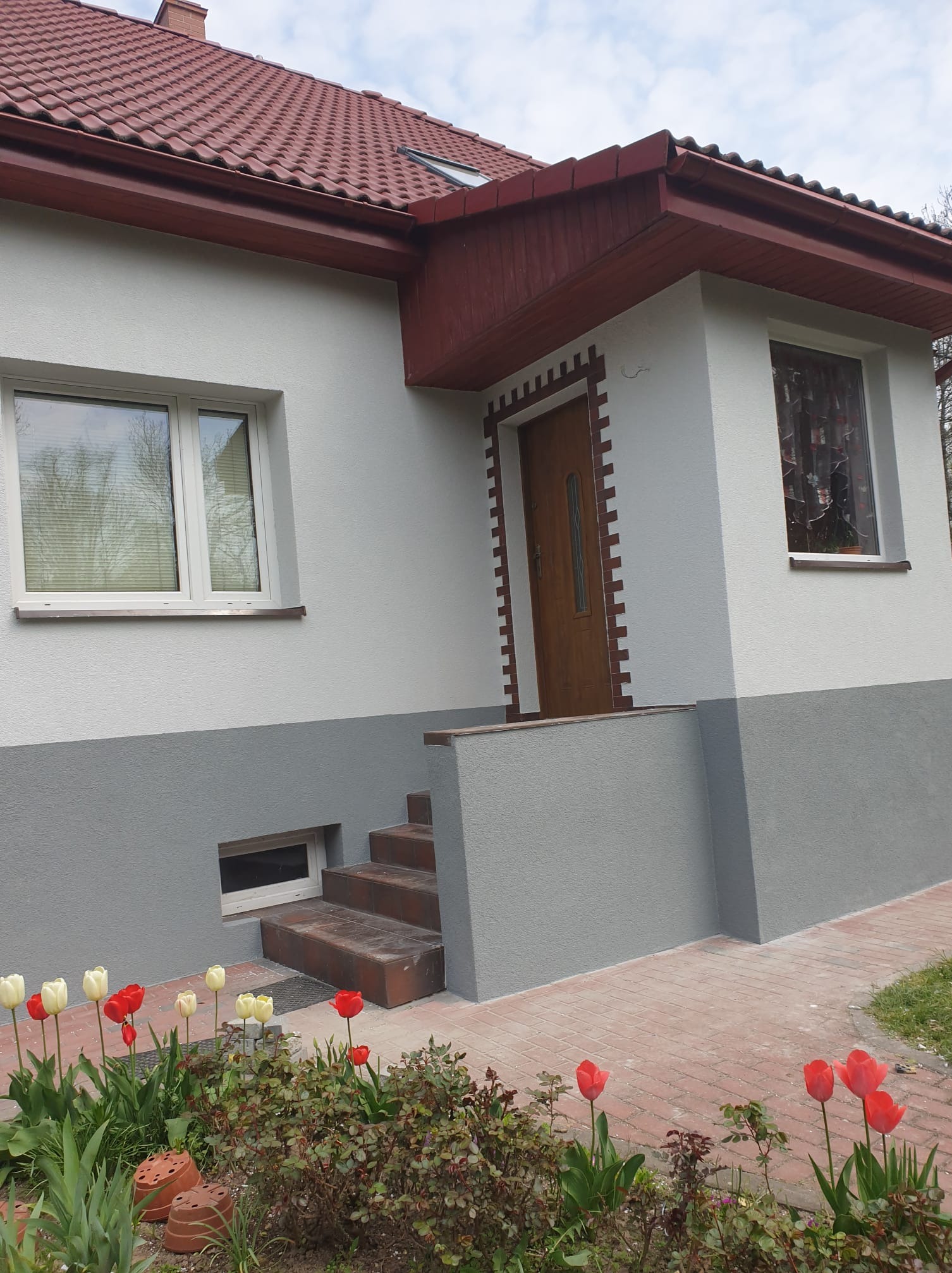 Dwukolorowa elewacja domu jednorodzinnego z ceglanymi akcentami wokół drzwi wejściowych i kwitnącymi tulipanami w ogródku. Widoczne schody wejściowe i okna.