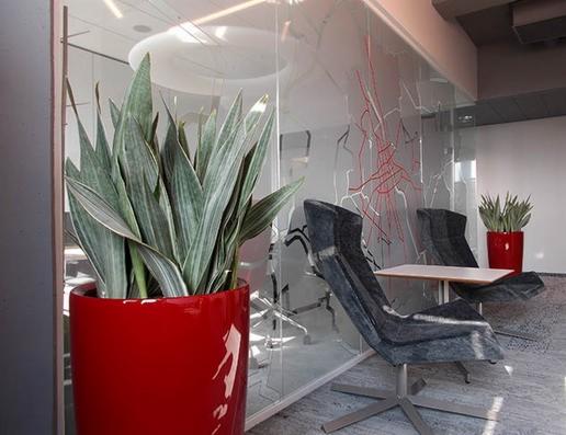 Sansewieria w czerwonej, cylindrycznej donicy na tle szklanej ściany z abstrakcyjnym wzorem w biurze z nowoczesnymi krzesłami i stolikiem.