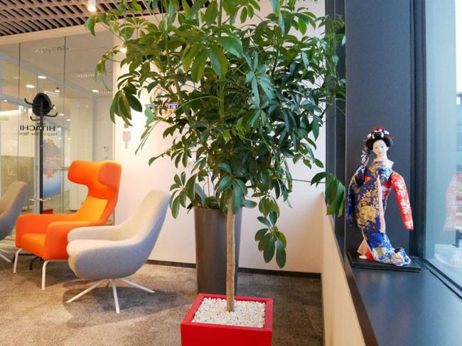 Wnętrze biura w Warszawie z rośliną doniczkową w czerwonej donicy, nowoczesnymi fotelami i japońską lalką na parapecie okna.