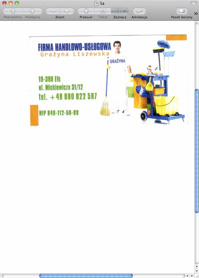 profesjonalne sprzątanie mieszkań, biur, lokali usługowych przez profesjonalną firmę Grażyna