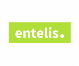 ENTELIS Rafał Frankowski - Usługi Wronki