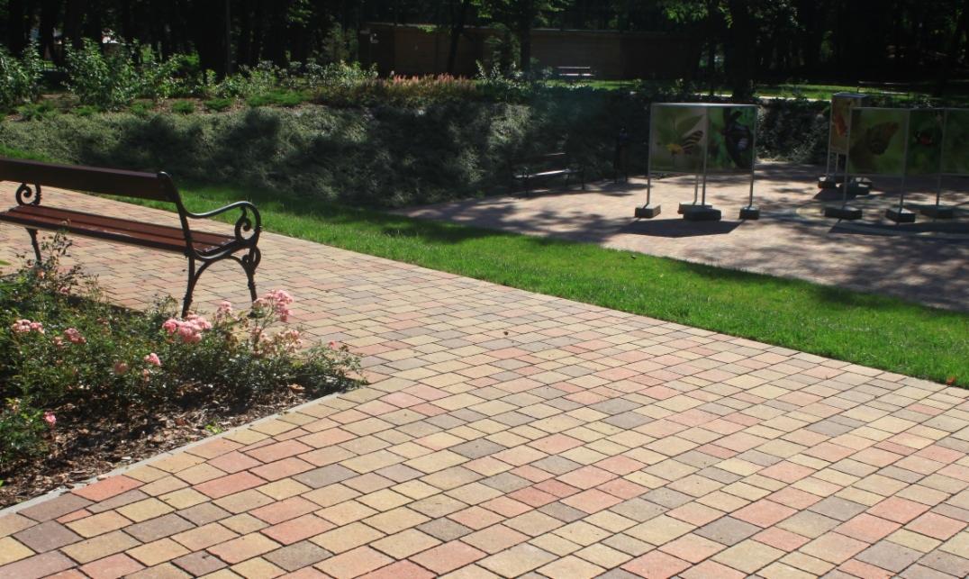 Kolorowa kostka brukowa ułożona w parkowej alejce z ławką i rabatą róż. W tle zieleń drzew i krzewów, ekspozycja z motywami motyli. Słoneczny dzień.