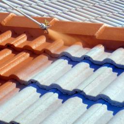 ADFcolours Mycie i malowanie dachów i elewacji - Konserwacja Zabytków Łódź