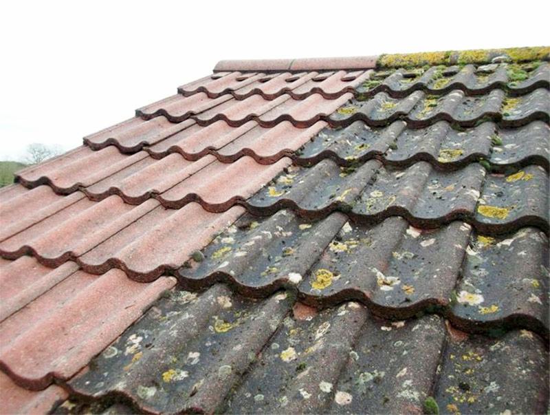 Częściowo oczyszczony dach z dachówki ceramicznej, widoczny kontrast między czystą a zabrudzoną powierzchnią. Mech i porosty na niezabezpieczonej połaci dachu.