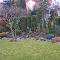 Uporządkowany ogród przydomowy z trawnikiem, obrzeżem z kostki granitowej, różnorodnymi krzewami iglastymi i liściastymi, oraz drzewem bezlistnym podpartym kamieniami u podstawy pnia.