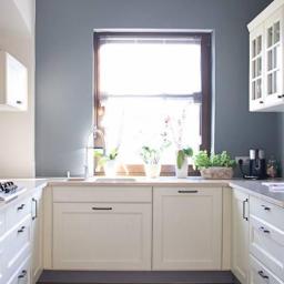 Lynx- Ryszard Suchora Poznań 3